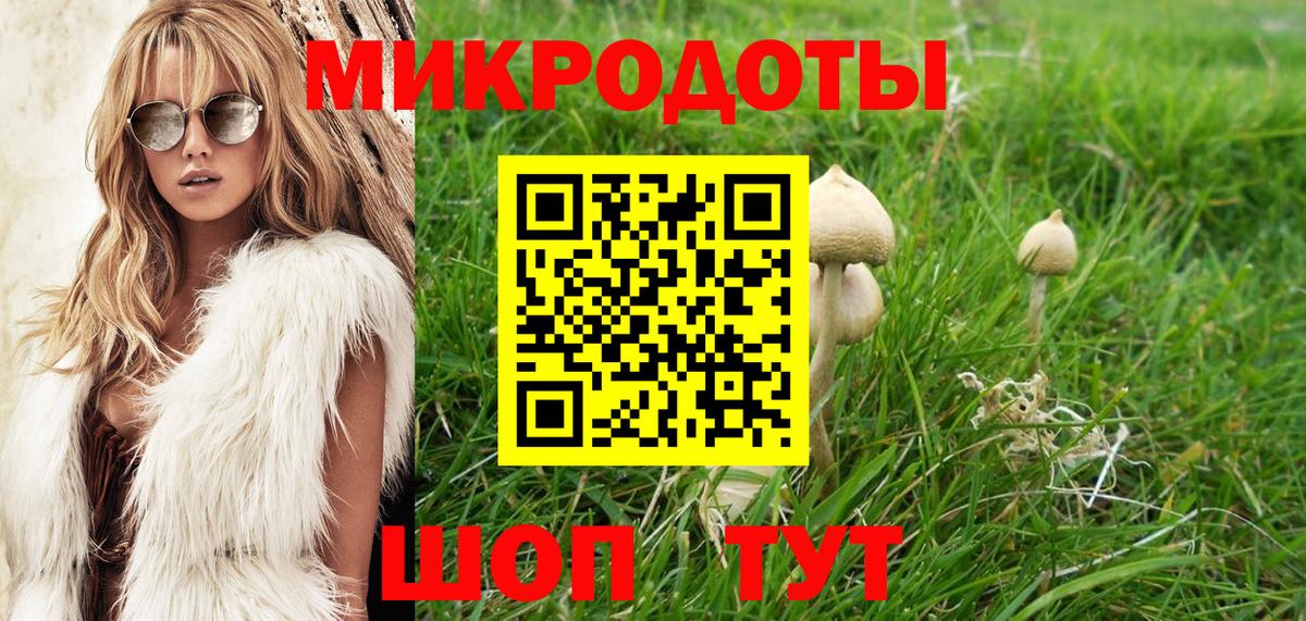 Псилоцибиновые грибы Cubensis  Вход с VPN  Симферополь 